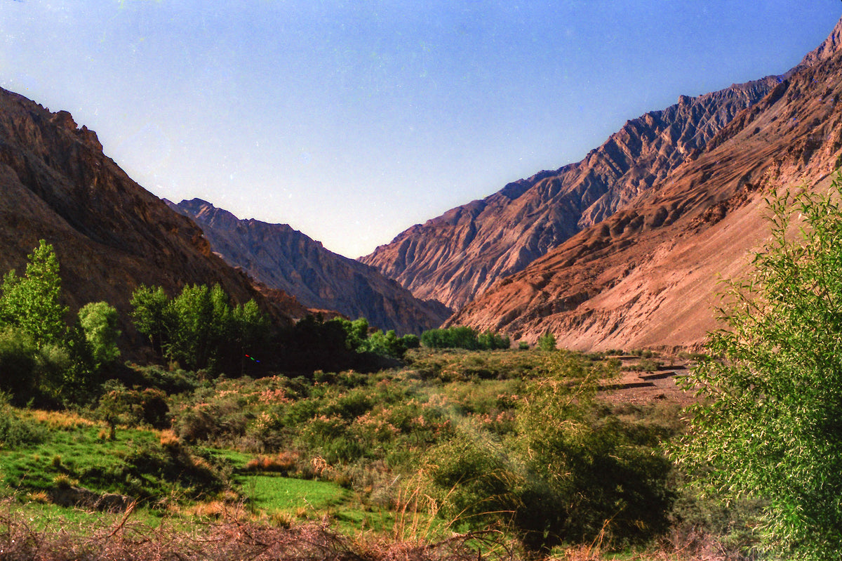 MARKHA VALLEY TREK, LADAKH 