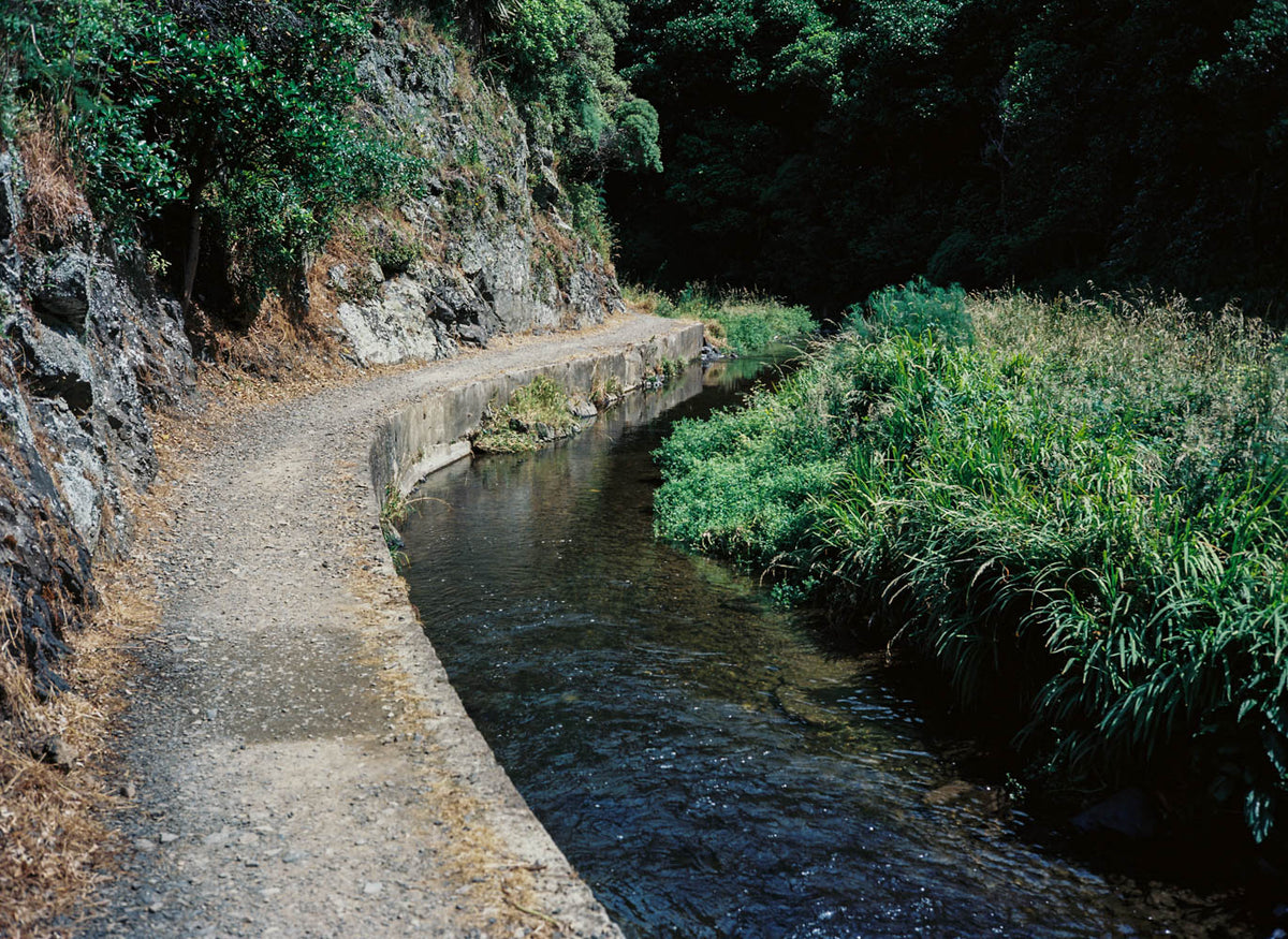 KOROKORO DAM WALKWAY IN PETONE, WELLINGTON