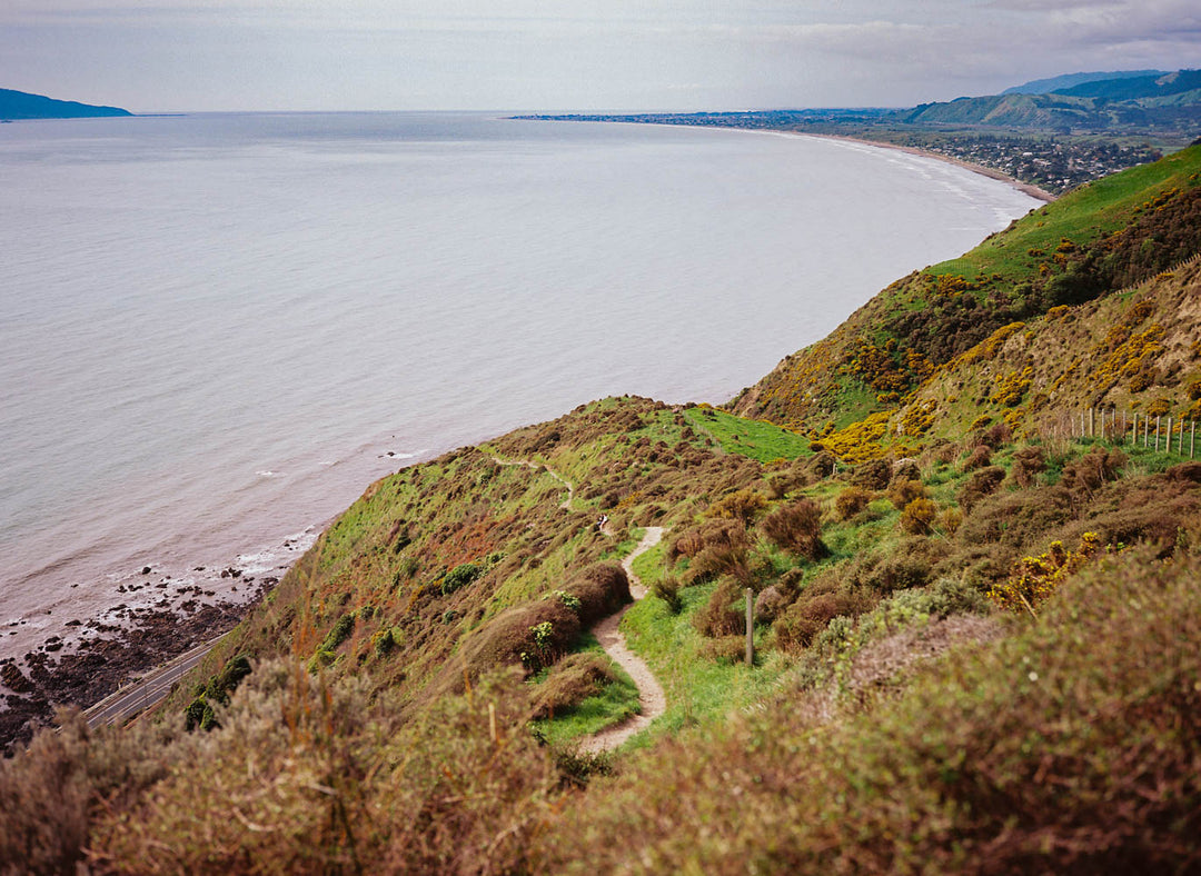 THE PAEKAKARIKI TO PUKERUA BAY KAPITI ESCARPMENT WALK
